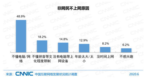 中國互聯網絡發展狀況統計報告（2020年第46次） 網民規模、結構狀況與計算機軟件數據處理服務分析